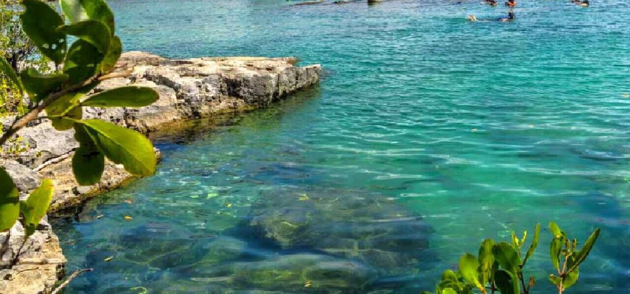 Photo of Others in Akumal