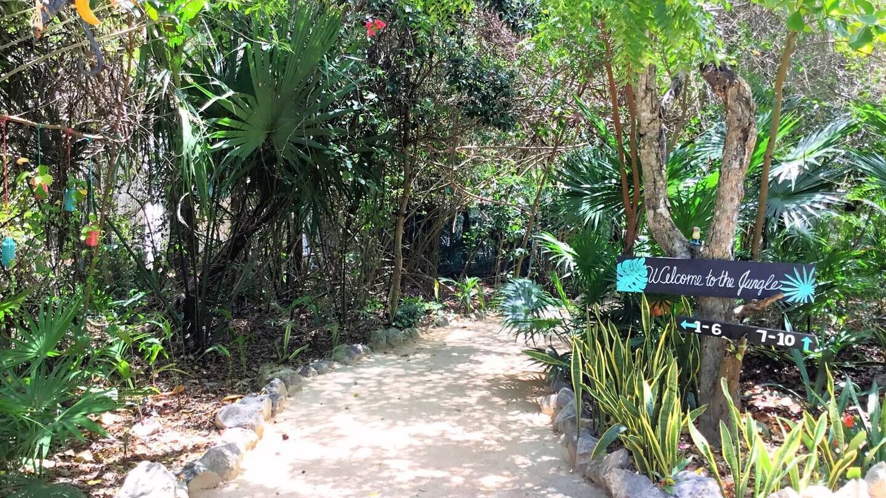 Photo of Outdoor in Akumal