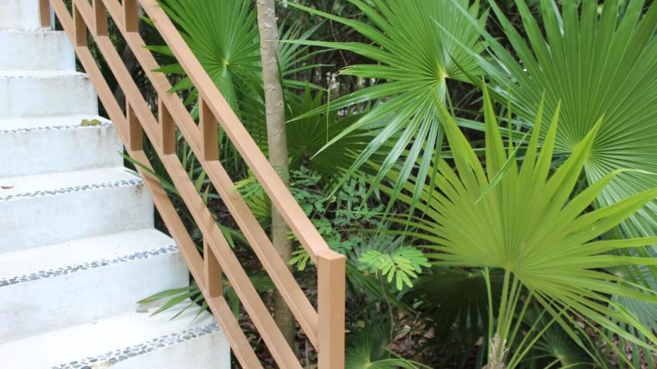 Photo of Outdoor in Akumal