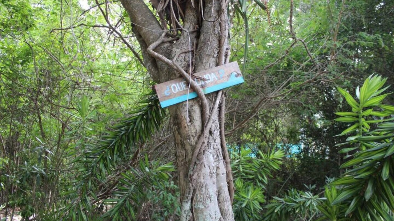 Photo of Outdoor in Akumal