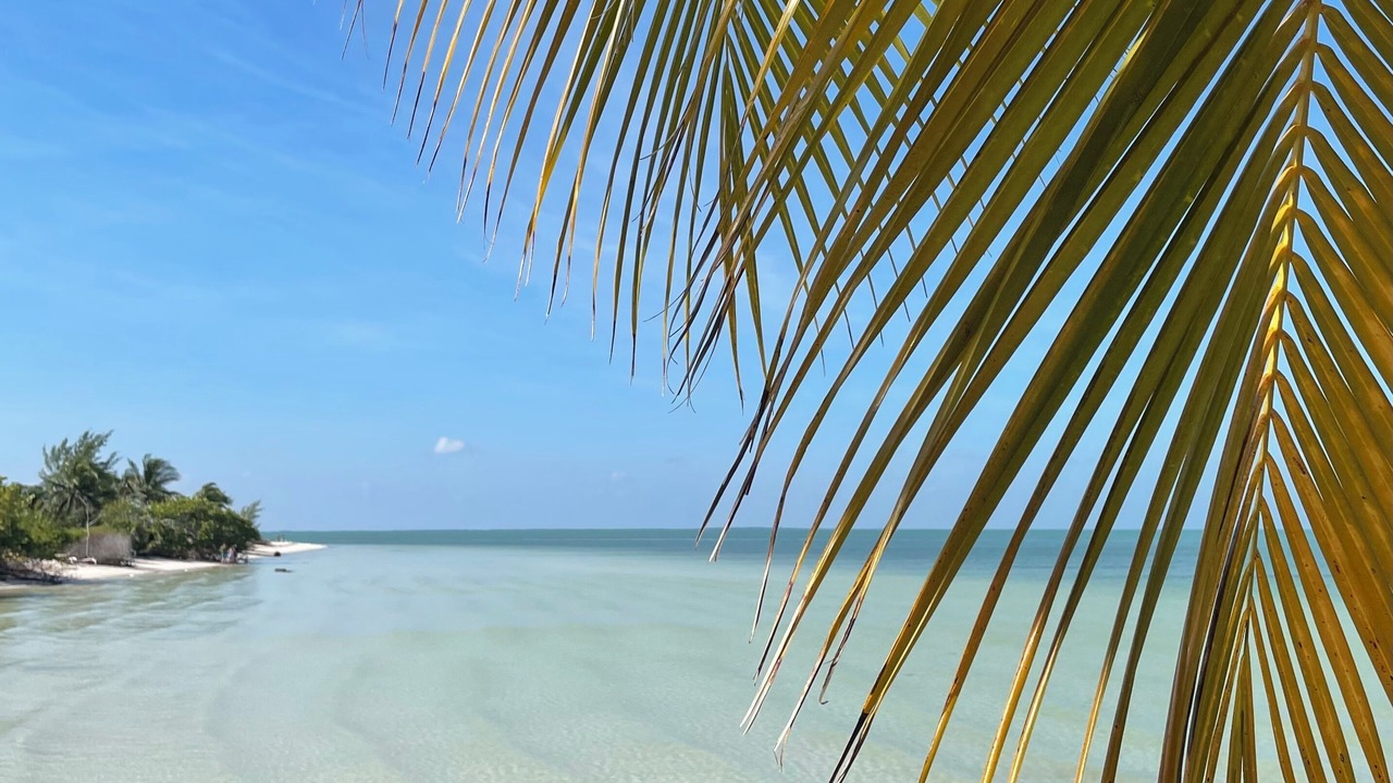 Photo of Others in Isla Holbox