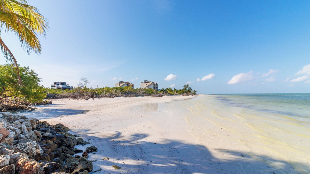 Photo of Others in Isla Holbox