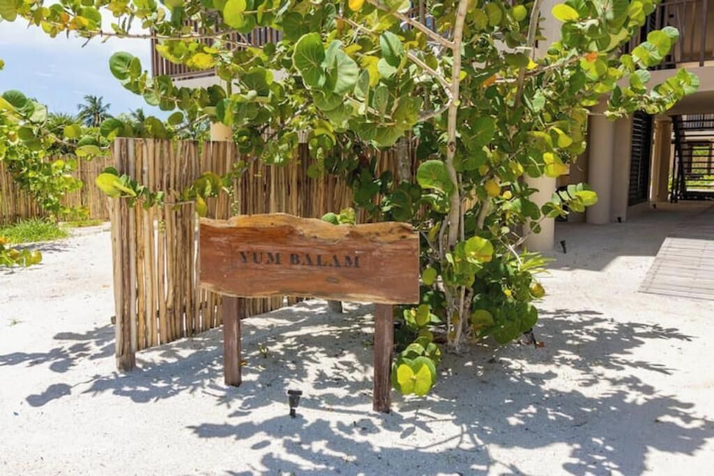 Photo of Outdoor in Isla Holbox