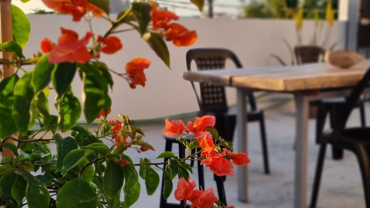 Photo of Outdoor in Puerto Juarez