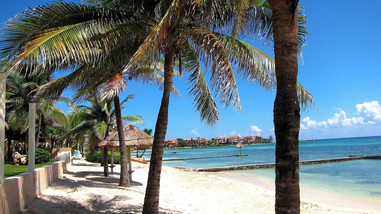 Photo of Others in Puerto Aventuras