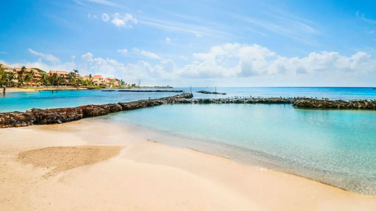 Photo of Others in Puerto Aventuras