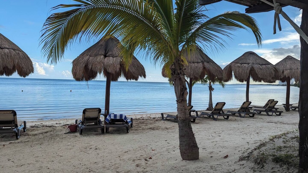 Photo of Others in La Isla