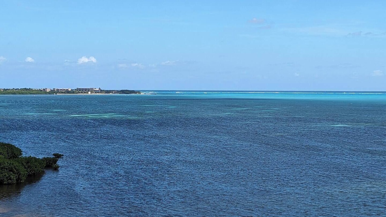 Photo of Others in La Isla