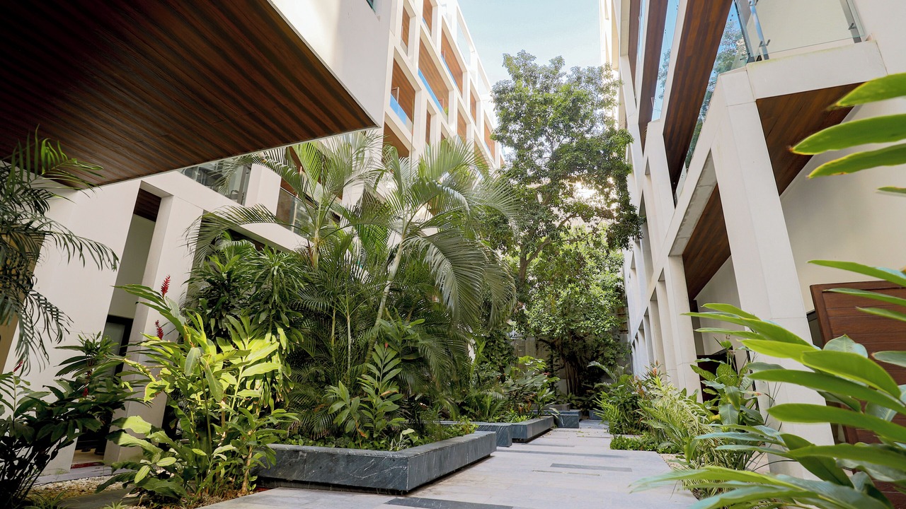 Photo of Outdoor in Luis Donaldo Colosio