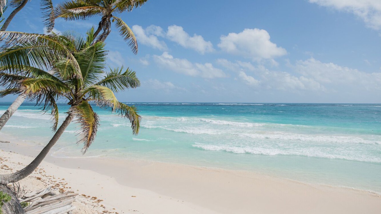 Photo of Others in Playa Paraiso