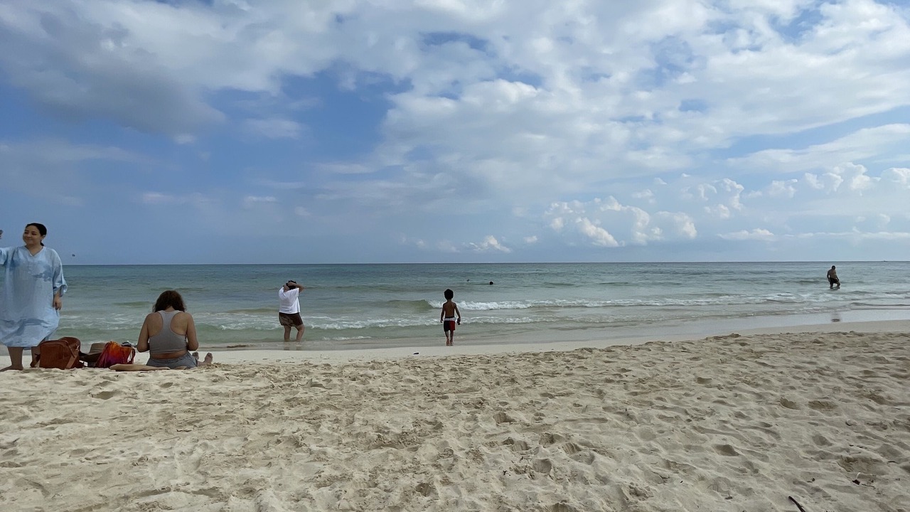 Photo of Others in Playacar Fase I