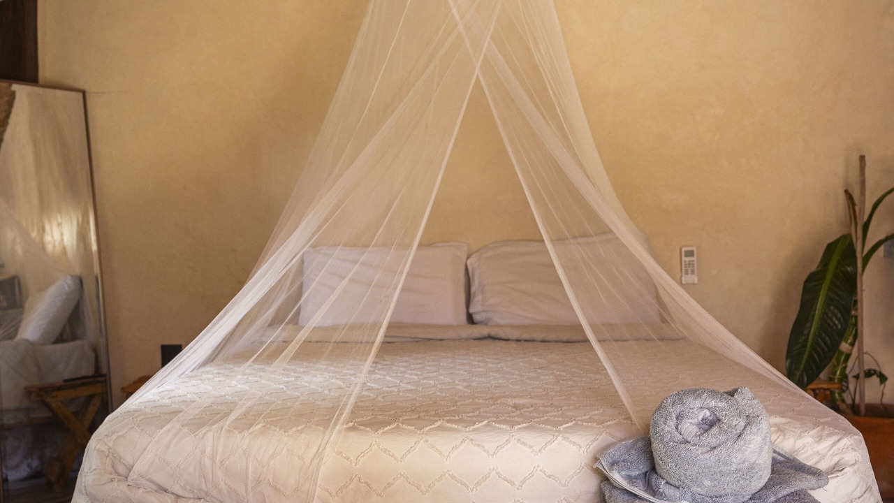 Photo of Bedroom in Bacalar