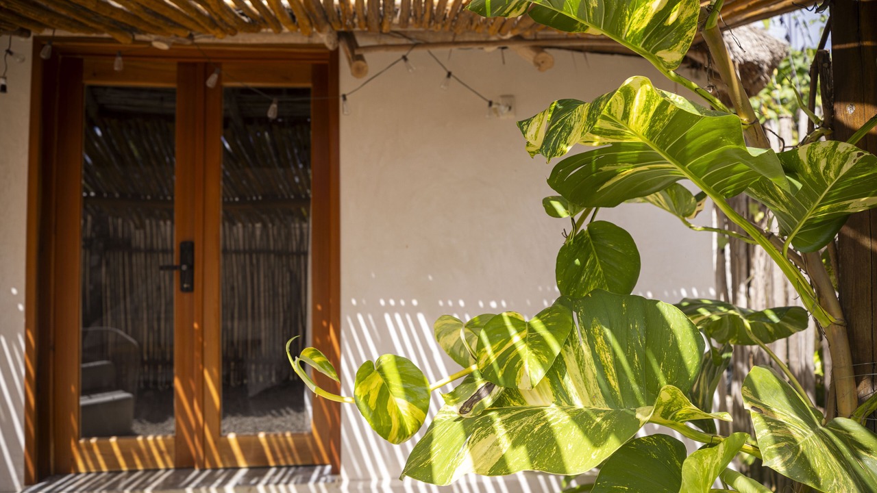 Photo of Outdoor in Bacalar