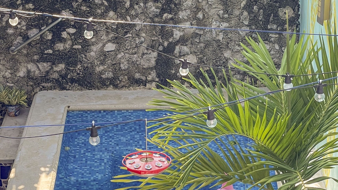 Photo of Outdoor in Colonia Andres