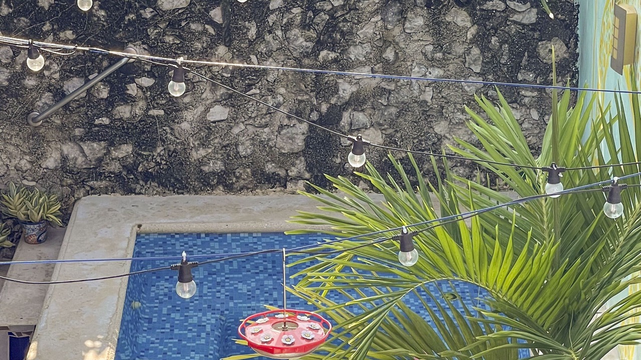 Photo of Outdoor in Colonia Independencia