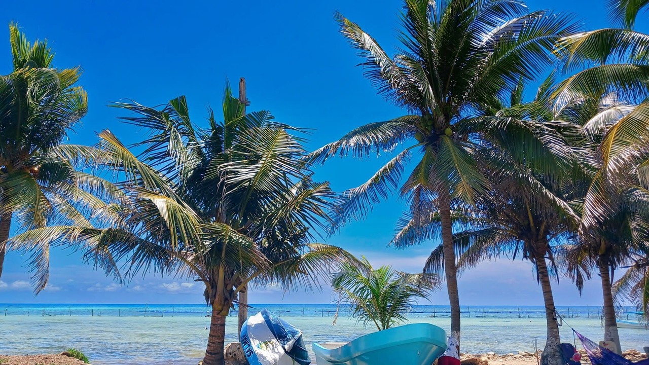 Photo of Others in Majahual