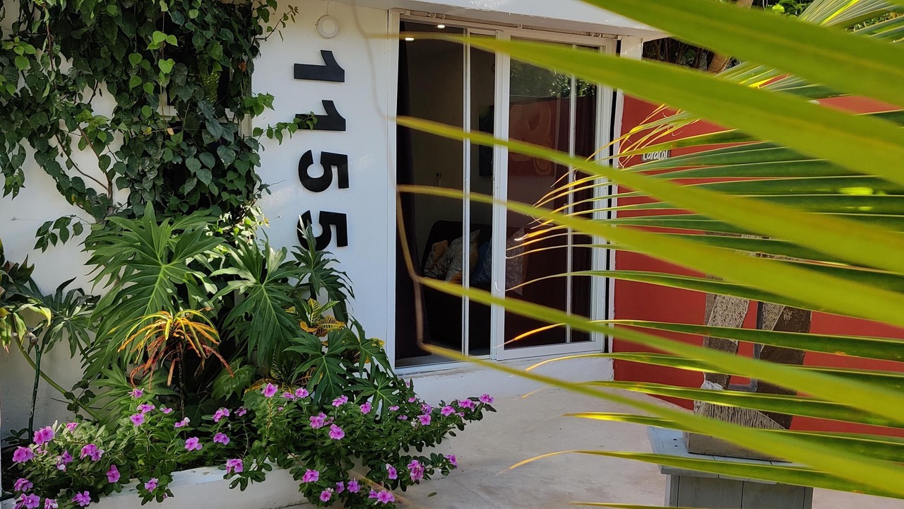 Photo of Outdoor in Majahual