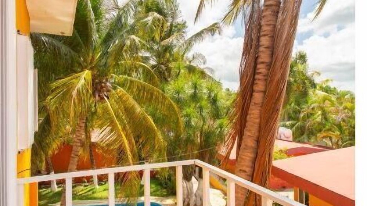 Photo of Outdoor in Colonia Adolfo Lopez Mateos