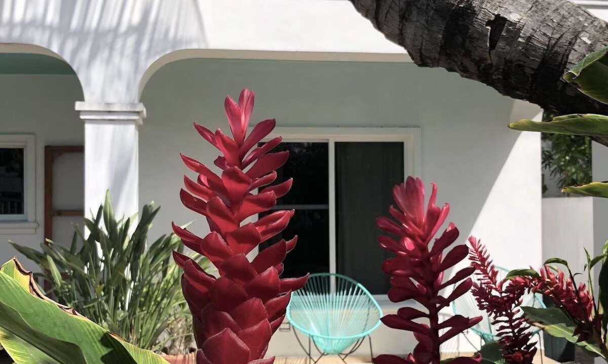 Photo of Outdoor in Puerto Morelos