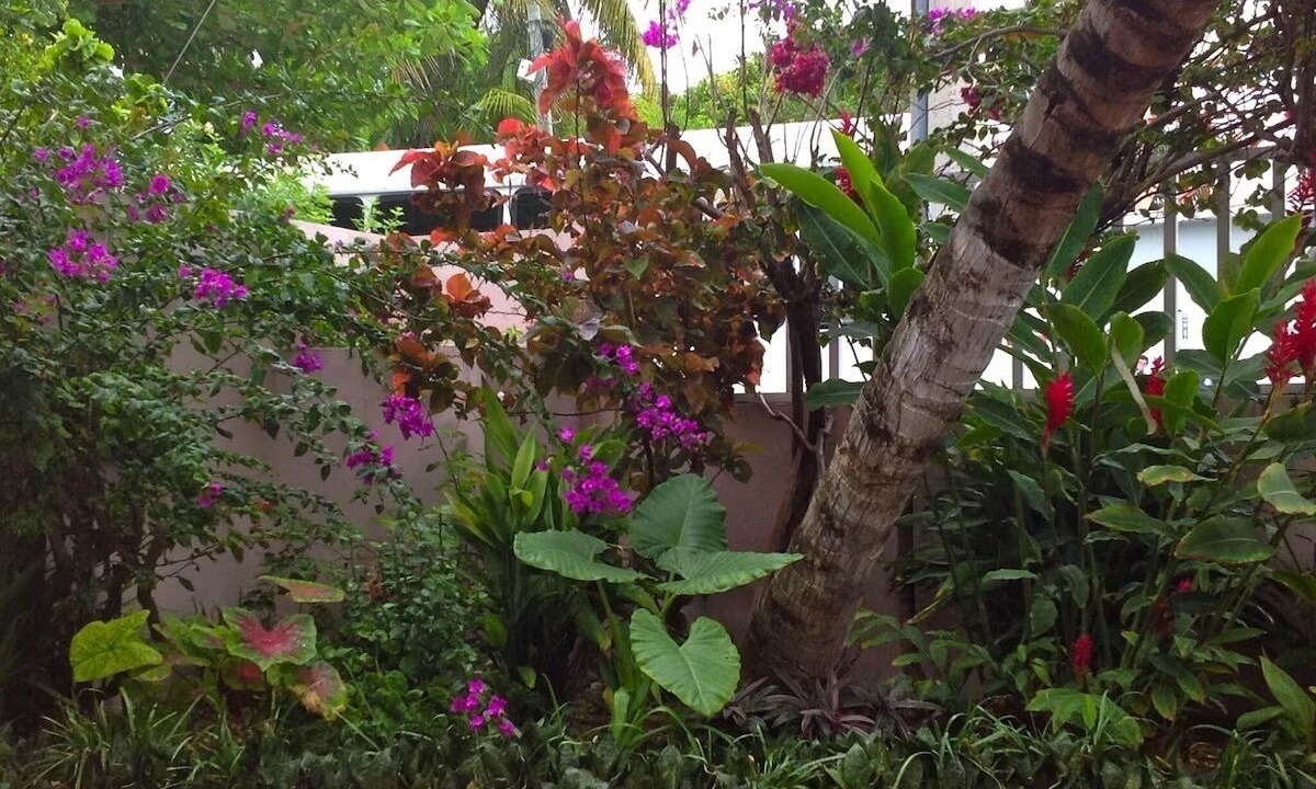Photo of Outdoor in Puerto Morelos