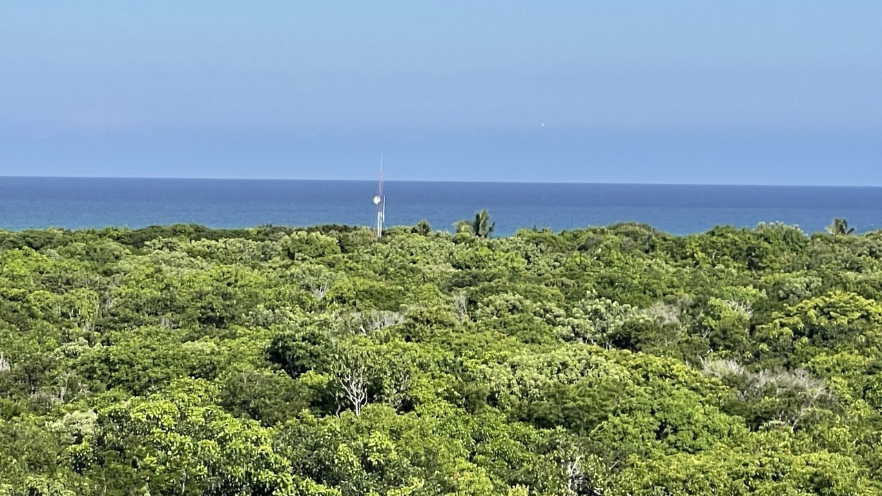 Photo of Outdoor in Playa Paraiso