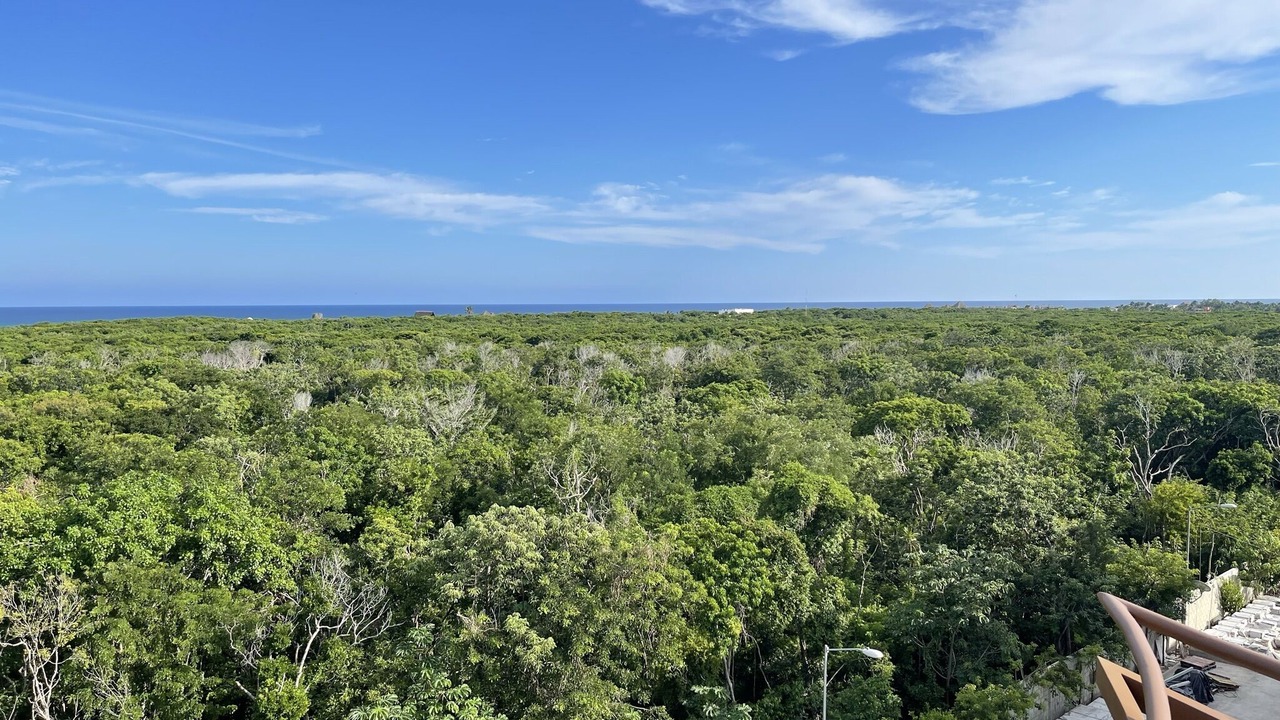 Photo of Outdoor in Playa Paraiso