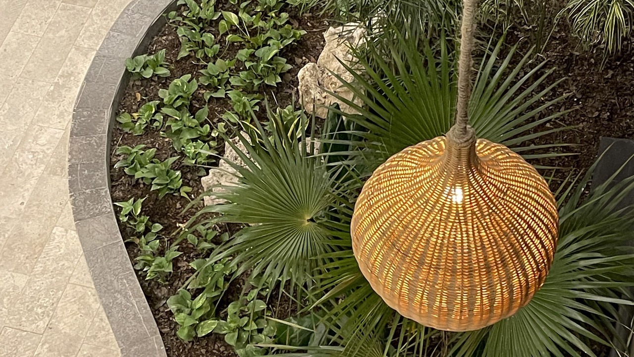 Photo of Outdoor in Playa Paraiso