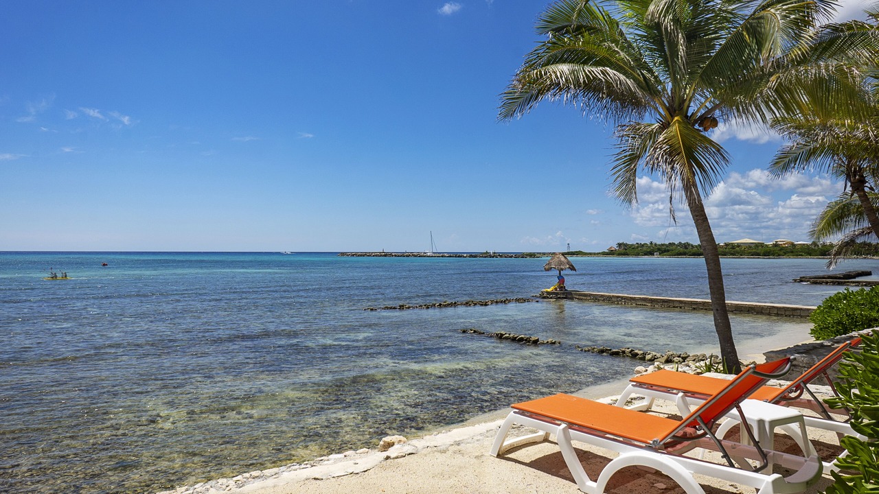 Photo of Others in Puerto Aventuras