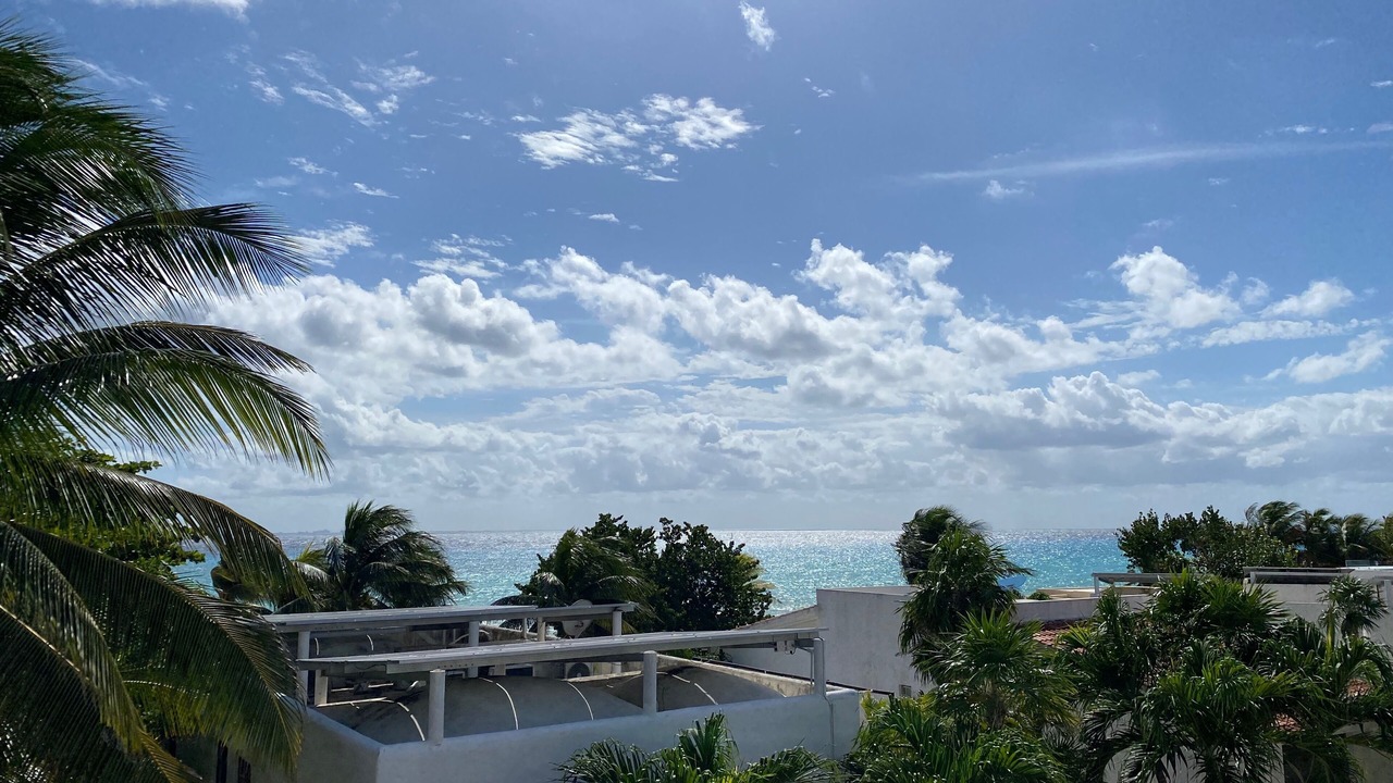 Photo of Others in Playa del Carmen