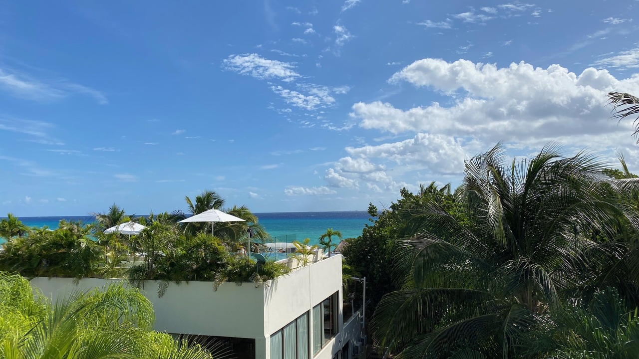 Photo of Others in Playa del Carmen