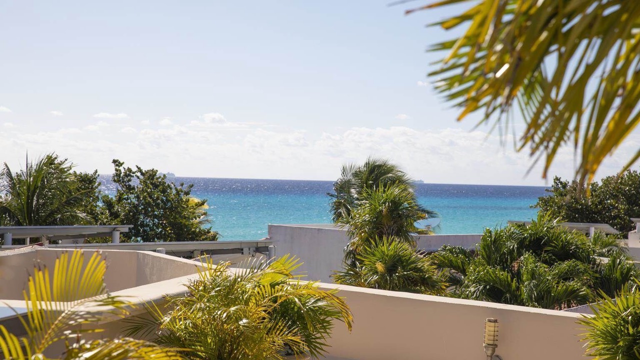 Photo of Others in Playa del Carmen