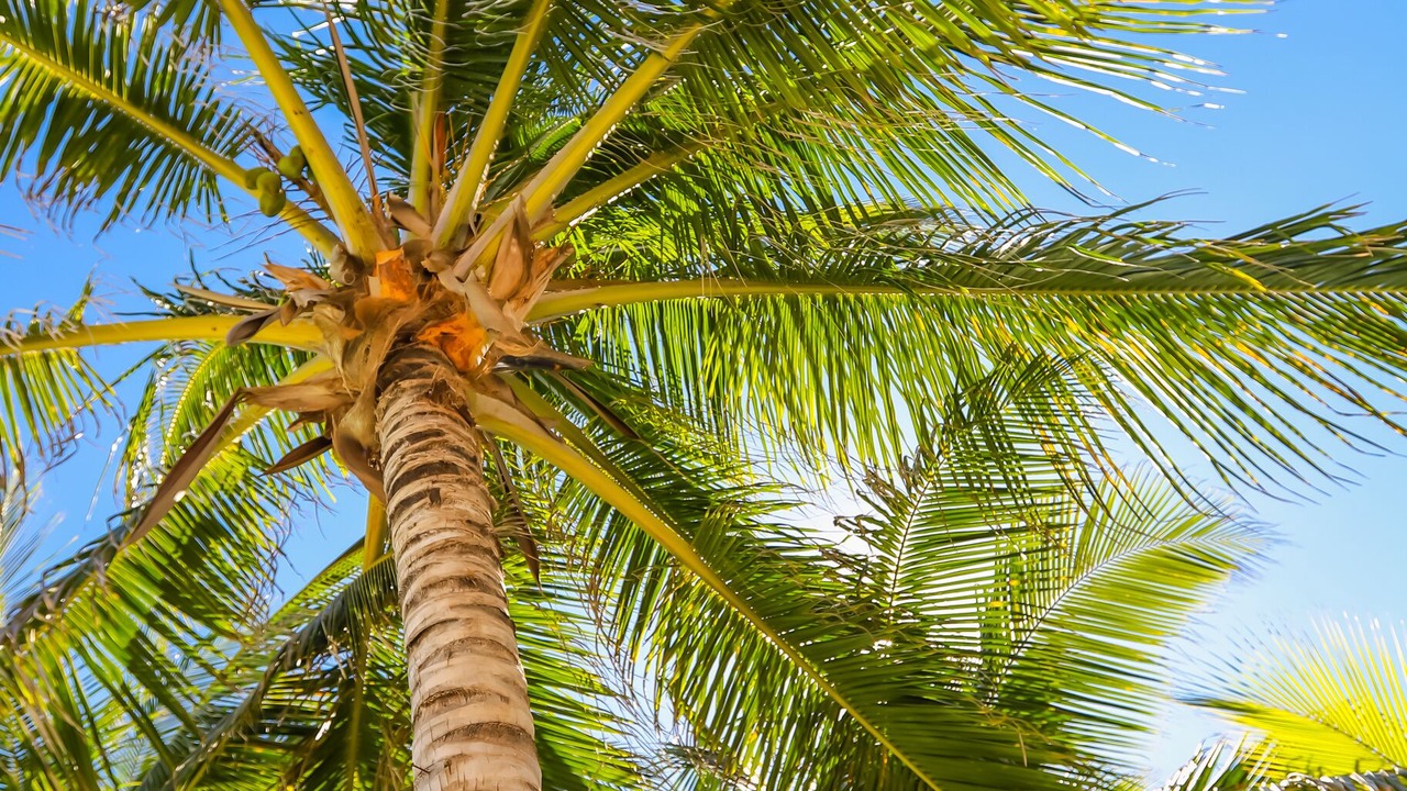 Photo of Outdoor in Majahual