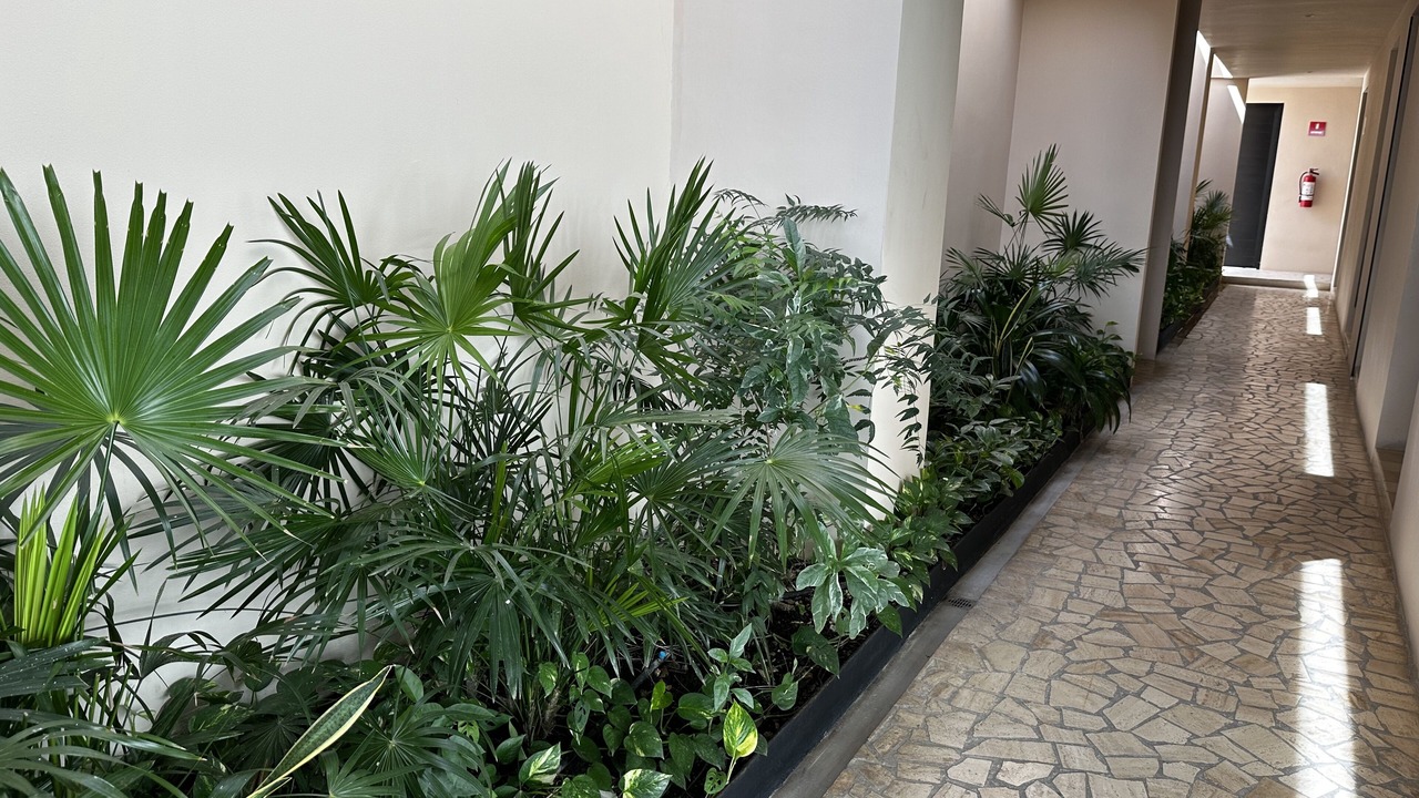 Photo of Outdoor in Ejidal