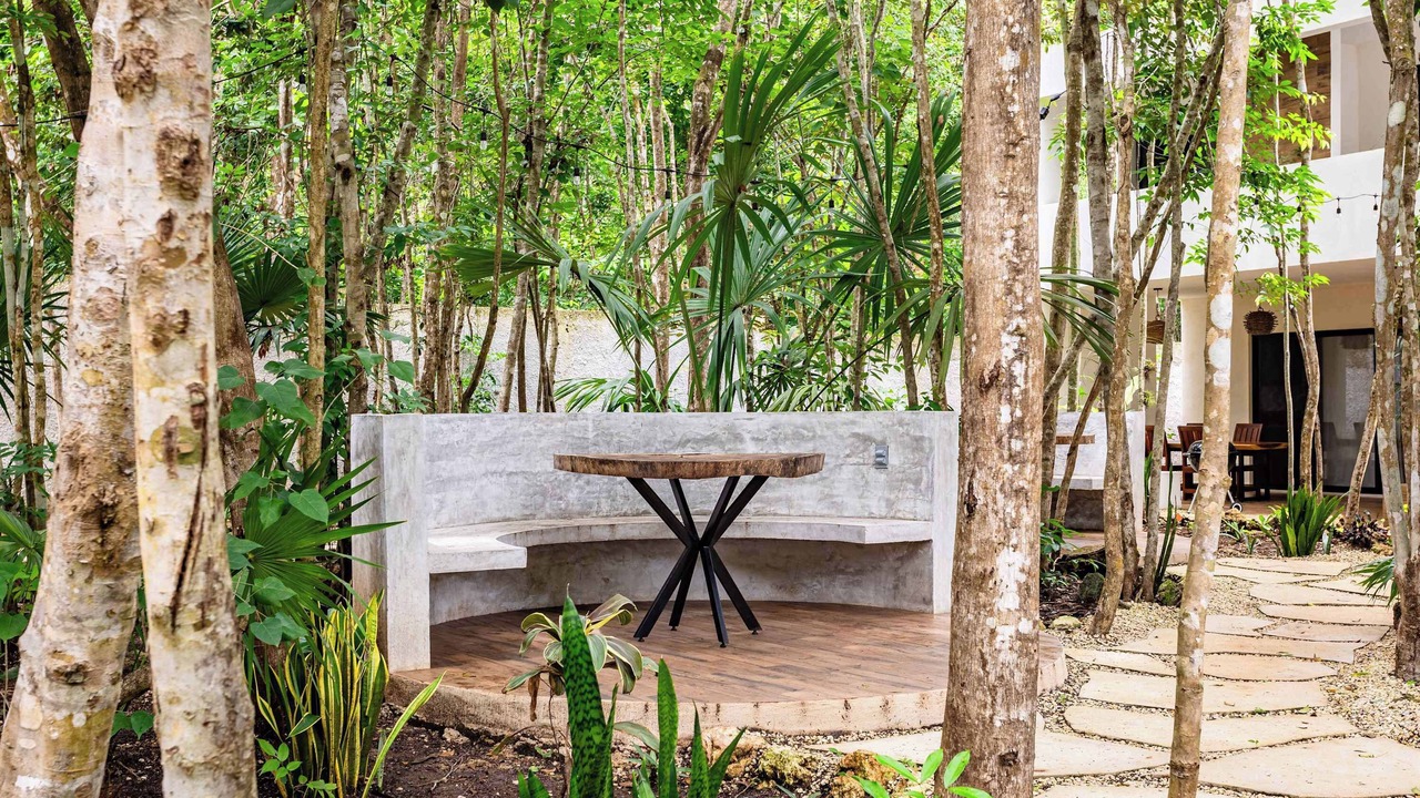 Photo of Outdoor in Bacalar