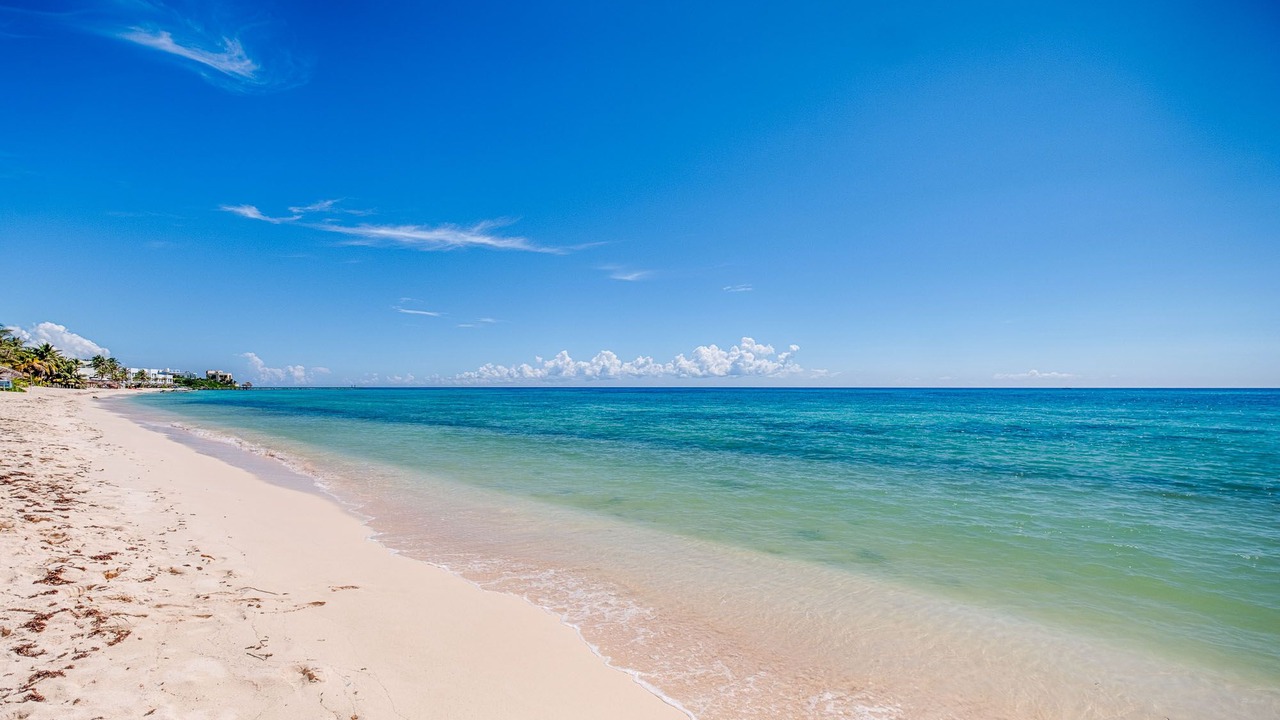 Photo of Others in Akumal