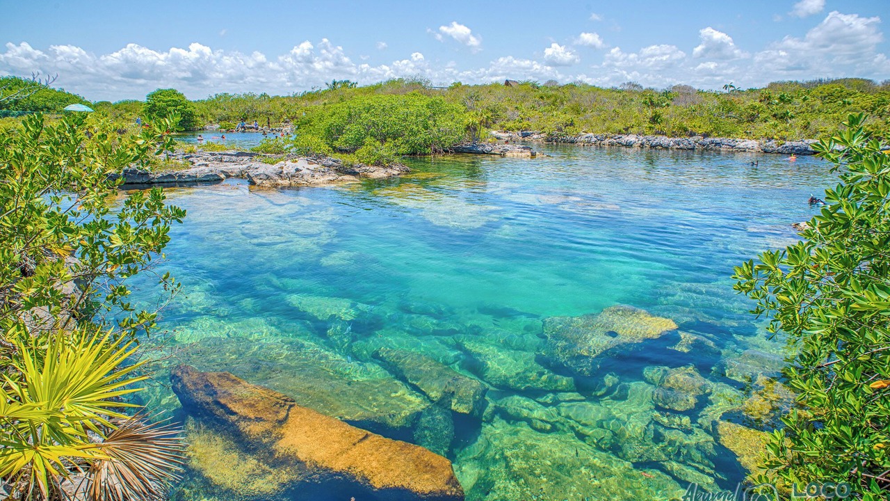 Photo of Others in Akumal