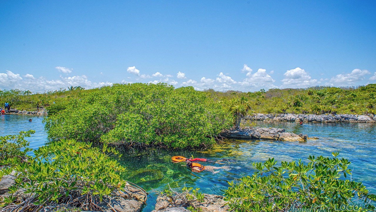 Photo of Others in Akumal