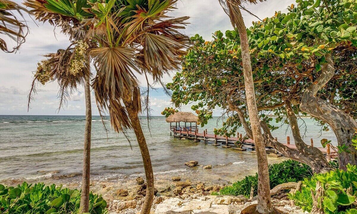 Photo of Others in Akumal