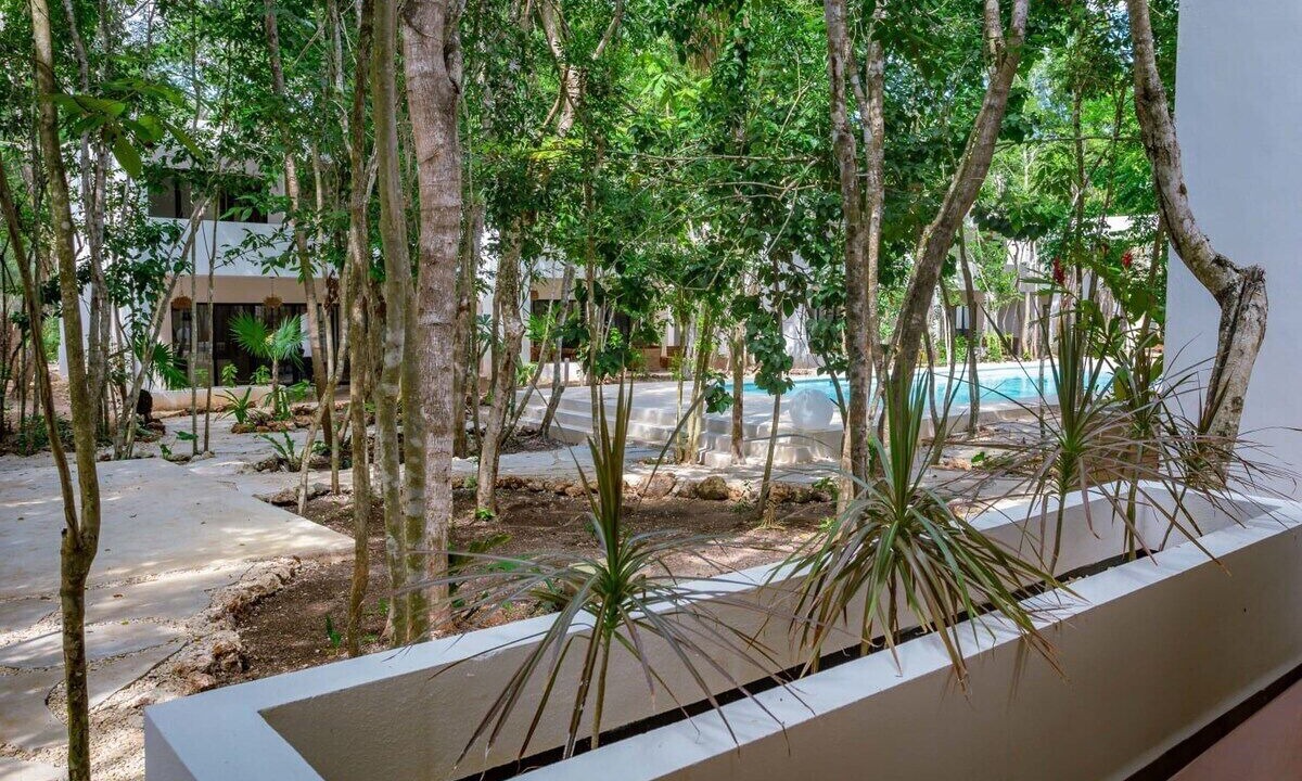 Photo of Outdoor in Bacalar