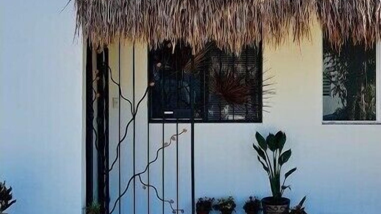 Photo of Outdoor in Puerto Morelos