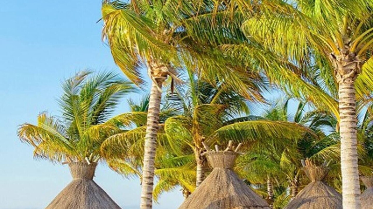Photo of Others in Punta Sam
