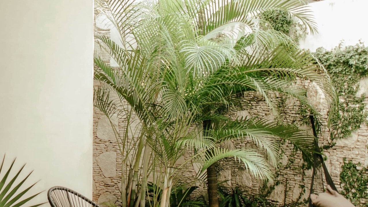 Photo of Outdoor in Tulum City Center