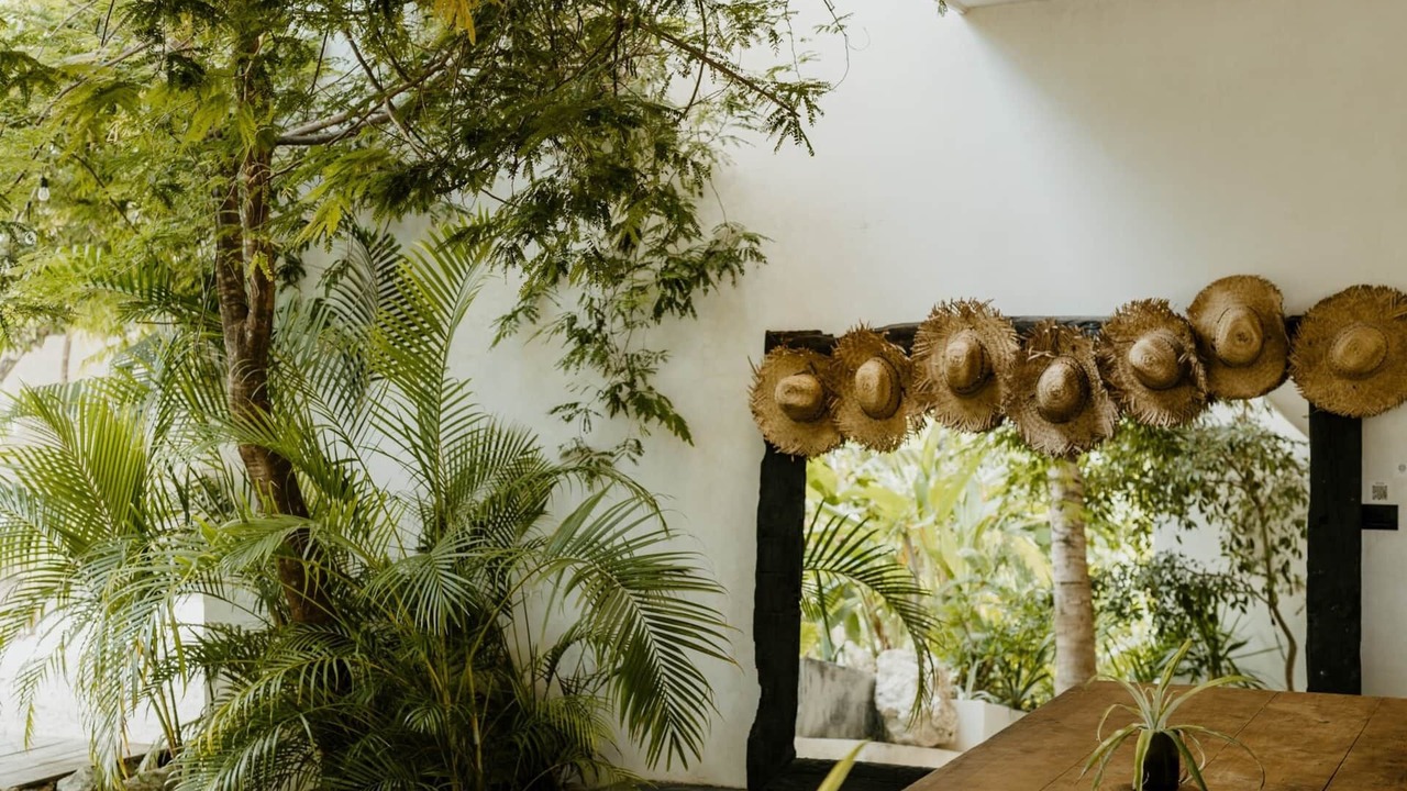 Photo of Outdoor in Tulum City Center