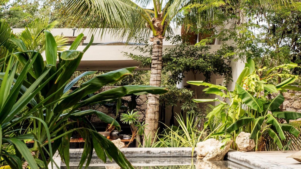 Photo of Outdoor in Tulum City Center