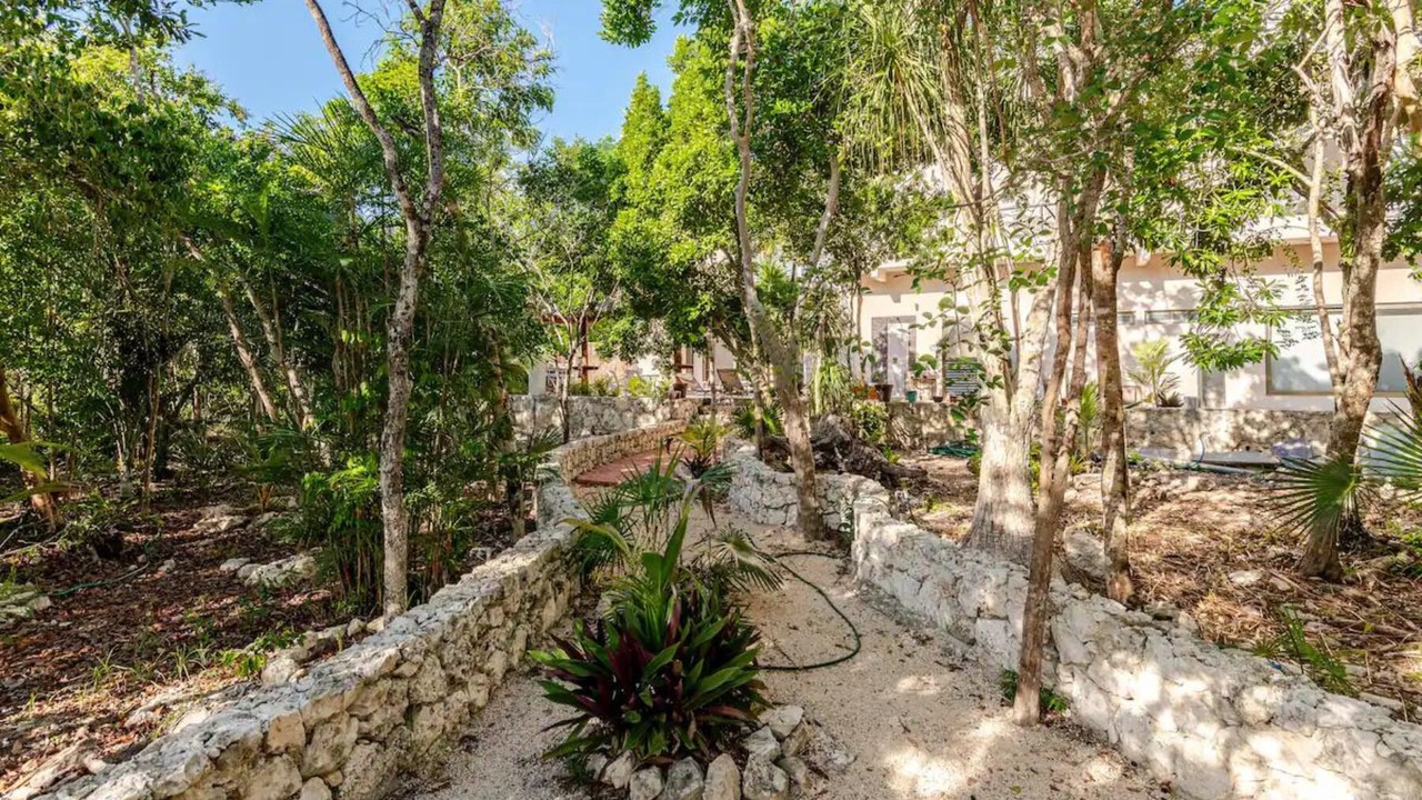 Photo of Outdoor in Akumal