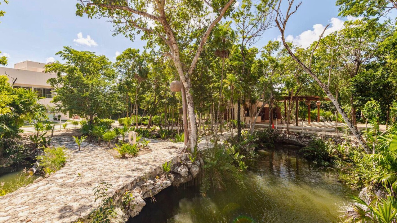 Photo of Outdoor in Akumal