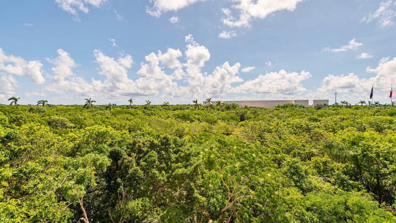 Photo of Others in Akumal