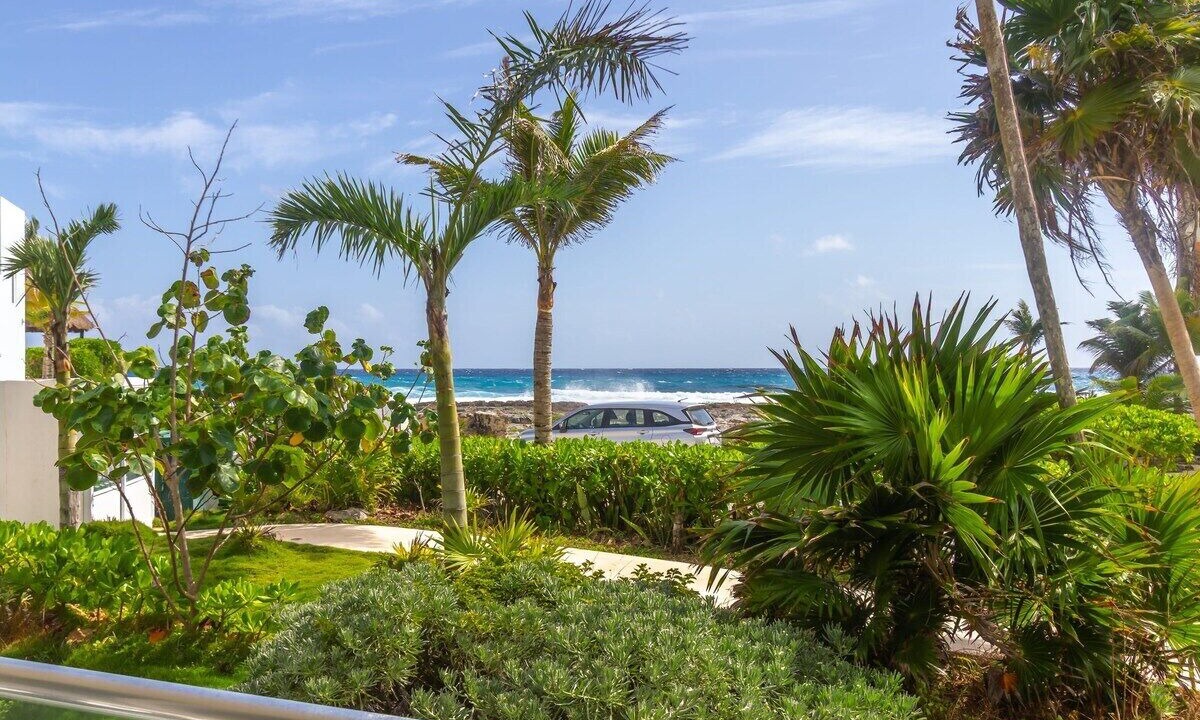 Photo of Others in Akumal
