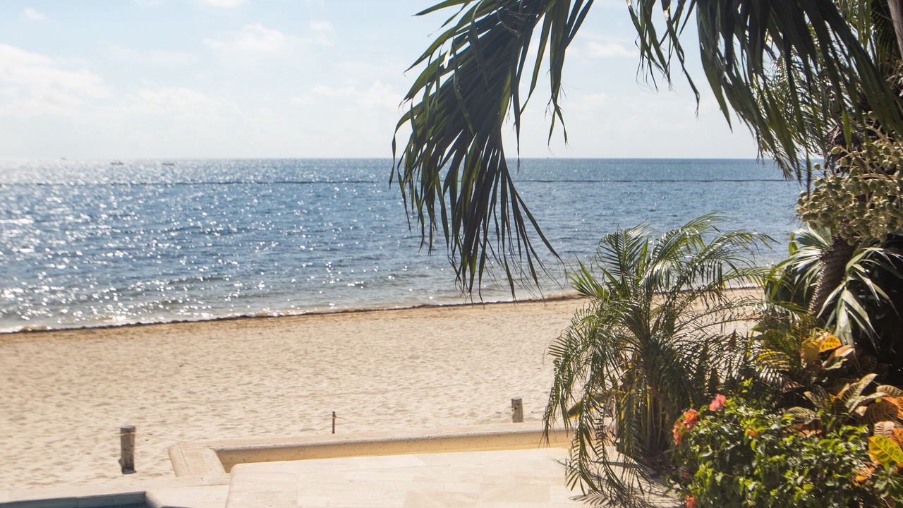 Photo of Others in Puerto Morelos