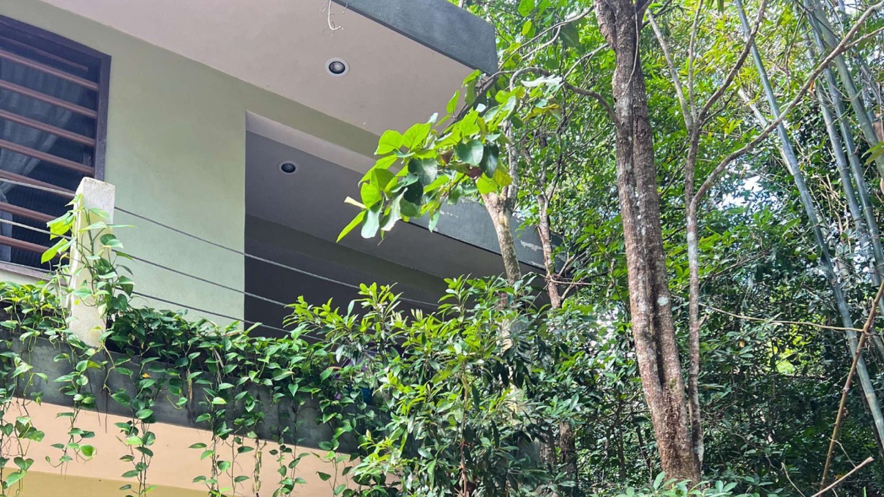 Photo of Outdoor in Benito Juarez